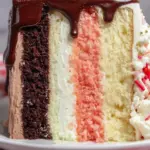 Neapolitan Cake