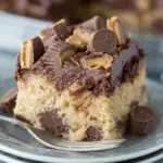 Peanut Butter Chocolate Poke Cake