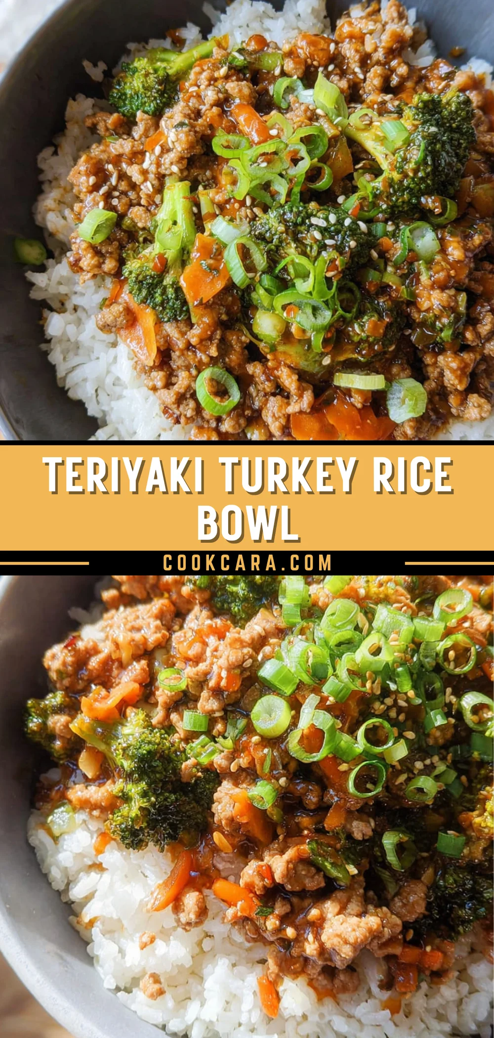 Teriyaki Turkey Rice Bowl 28 Pinterest Hidden Image