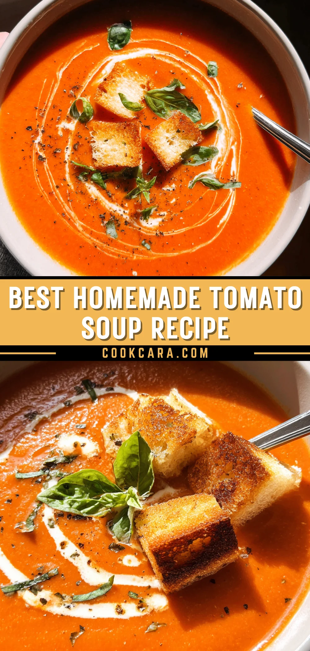 Best Homemade Tomato Soup Recipe 19 Pinterest Hidden Image