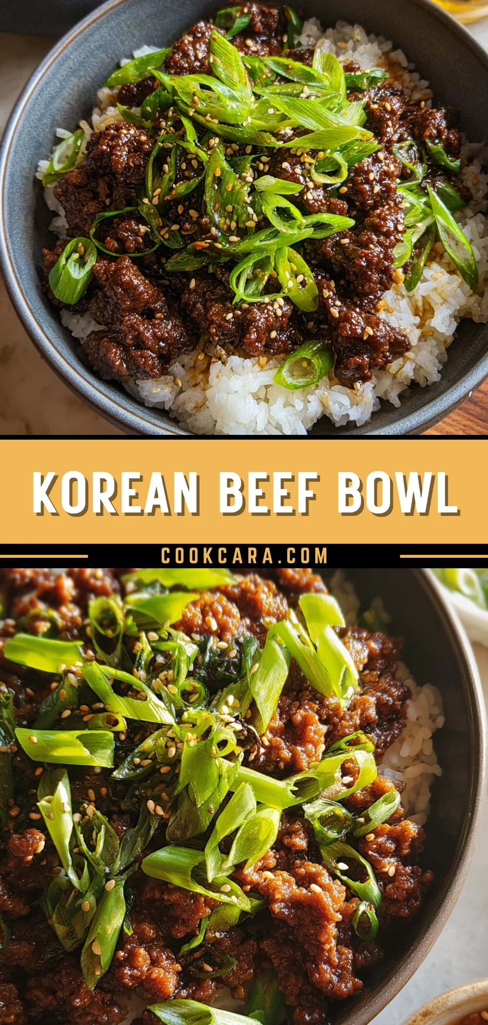 Korean Beef Bowl 17 Pinterest Hidden Image