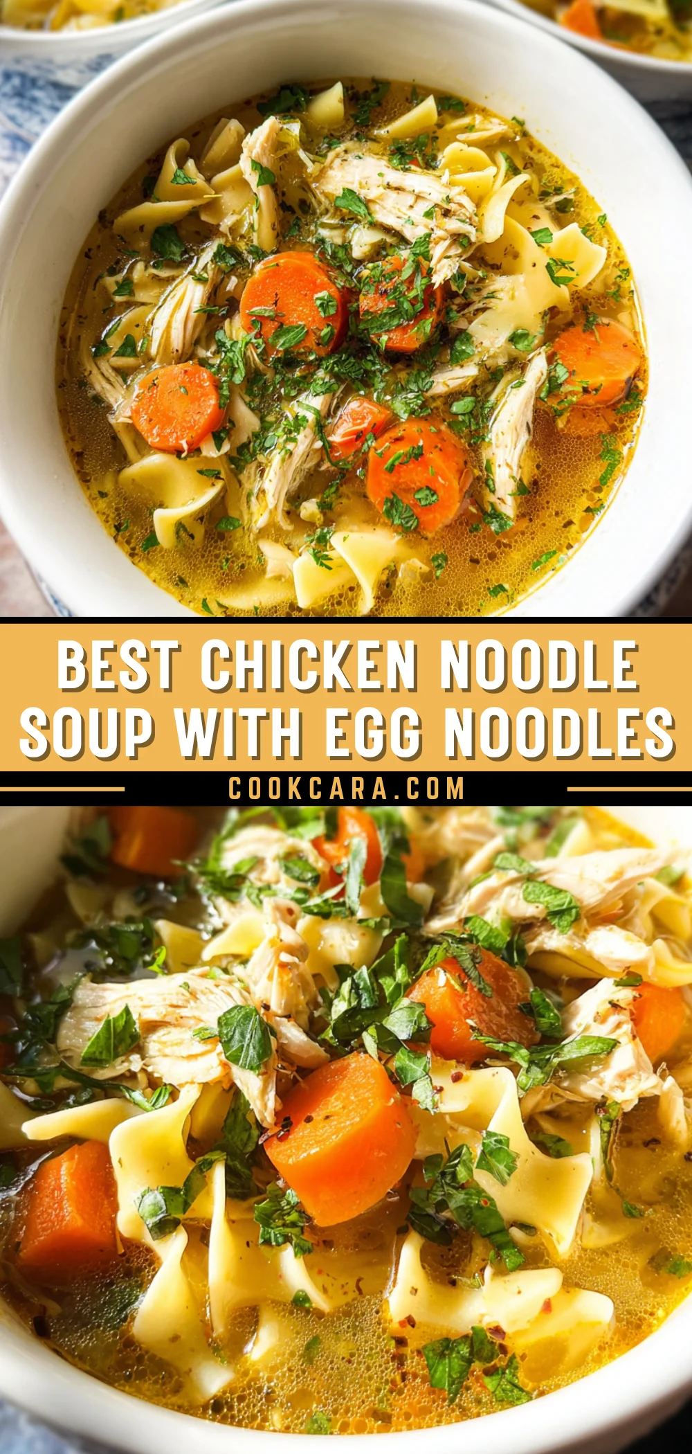 Best Chicken Noodle Soup with Egg Noodles 22 Pinterest Hidden Image